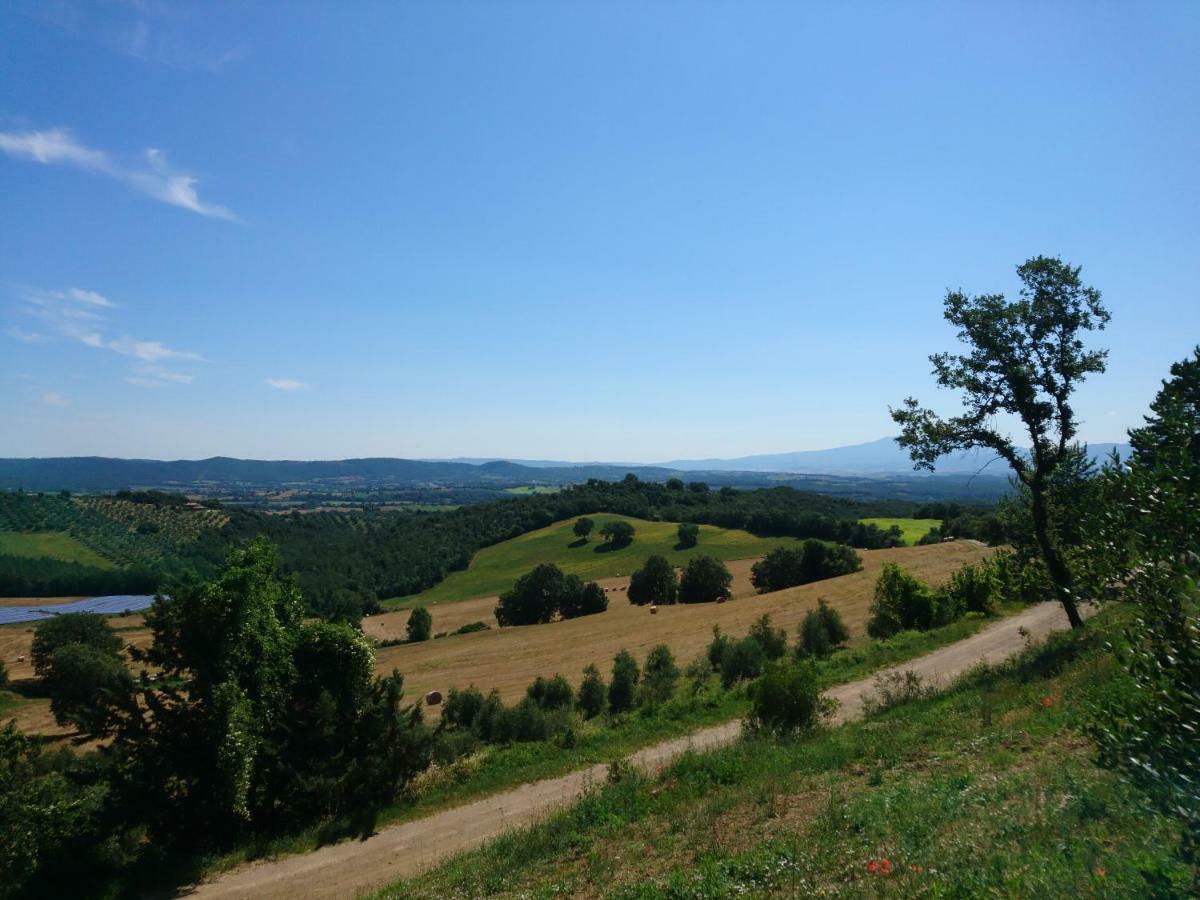 Agriturismo Il Giovannello 罗卡斯特拉达 外观 照片